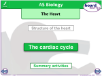 Interactive heart - Mr Waring`s Biology Blog