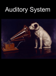 Sensory systems: II. Auditory