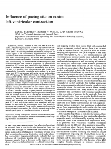 Influence of pacing site on canine left ventricular contraction