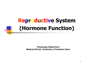 Hormone Function