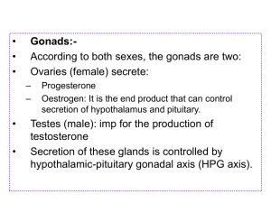 4-Gonads