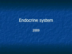Endocrine system Hormones