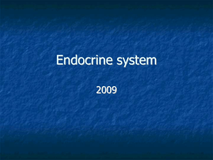Endocrine system Hormones
