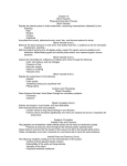 Chapter 15 Blood Vessels Physical Examination Preview Blood