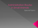 Parenteral Administration of Medication in Small Animals