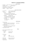 Chapters 11c , 13 Integration and Reflexes