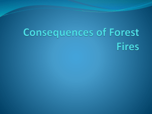 Powerpoint of consequences of forest fires