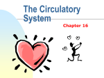 Circulatory System - Mahtomedi Middle School