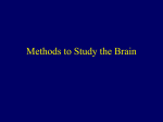 Methods to Study the Brain