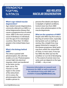 Age-related macular degeneration Backgrounder