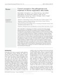 Current concepts in the pathogenesis and treatment of chronic