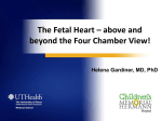 The Fetal Heart – above and beyond the Four Chamber View!
