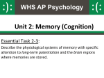 Physiology of Memory PowerPoint