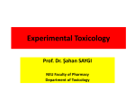 The Four R`s In Experimental Toxicology