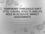TEMPORARY THRESHOLD SHIFT (TTS): CAUSES, EFFECTS AND