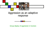 GROUP DISPLAYS OF AGGRESSION File