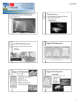 Thunderstorms Air-Mass Thunderstorms Stages of Development