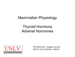 Mammalian Physiology Thyroid Hormone Adrenal Hormones