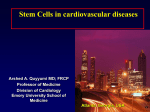 Resident stem cells