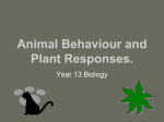 Animal Behaviour and Plant Responses. - MrHay