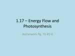 1.17 * Energy Flow and Photosynthesis