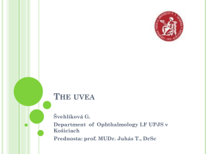 The uvea - TOP Recommended Websites
