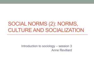 social norms (2): norms, culture and socialization