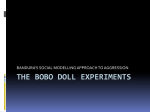 The Bobo Doll Experiments