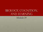 Biology, Cognition, and Learning