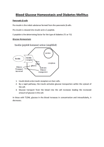 Blood Glucose Homeostasis and Diabetes Mellitus