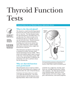 Thyroid Testing - Barts Endocrinology