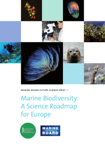 Marine Biodiversity: A Science Roadmap for Europe