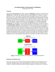 Neural Basis of Instrumental Conditioning