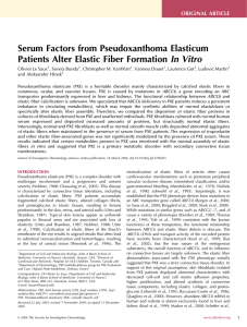 Serum Factors from Pseudoxanthoma Elasticum