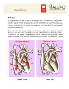 Tricuspid Atresia