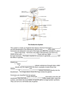 The Endocrine System This system is made up of glands