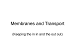 membranes and transport