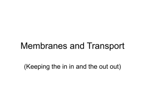 membranes and transport