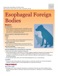 esophageal_foreign_bodies
