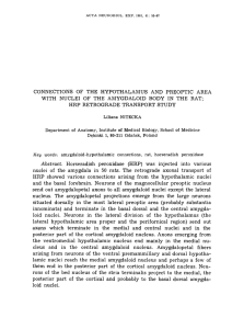 connections of the hypothalamus and preoptic area with nuclei of