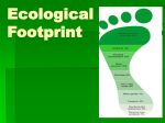 Ecological Footprint