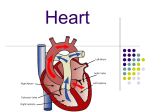Heart - BEHS Science