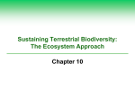 Sustaining Terrestrial Biodiversity: The