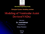 Biomedical Engineering Faculty Biological System Modeling seminar