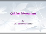 Calcium Homeostasis(1)