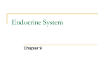 Endocrine System - walker2016