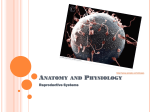 Anatomy and Physiology