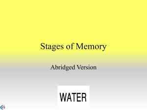 Stages of Memory