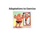 Adaptations to Exercise - CHOW