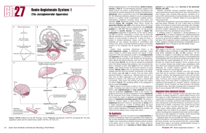 Renin-Angiotensin System: I